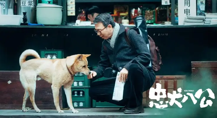 解除b站区域限制